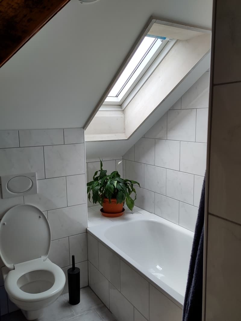 Charmante 3.5-Zimmer-Dachwohnung an zentraler Lage in Zürich (4)