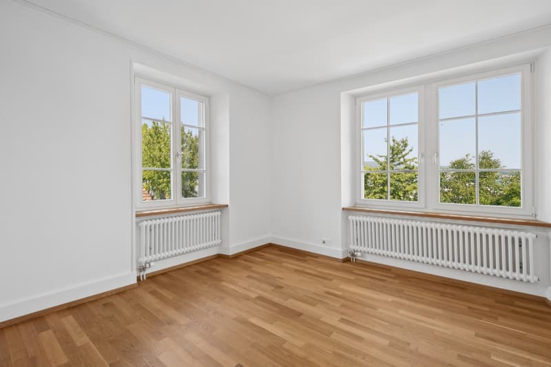 stillvoll sanierte 5.5-Zimmer-Wohnung (4)