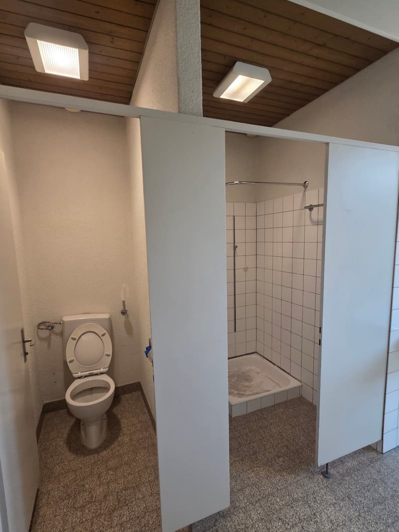 Bathroom with toilet and shower separated by a partition