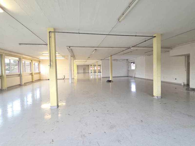 Large open space, white walls, yellow columns, metal beams on ceiling, windows, smooth white floor, exposed pipes, fluorescent lights