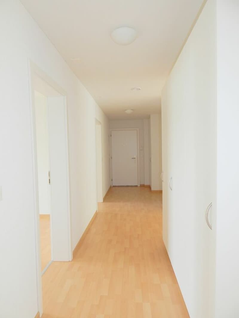 Helle, grosszügige, kinderfreundliche Wohnung (8)