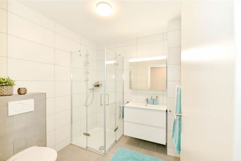 Traumhafte Aussicht I 3.5-Zimmer-Attikawohnung (9)