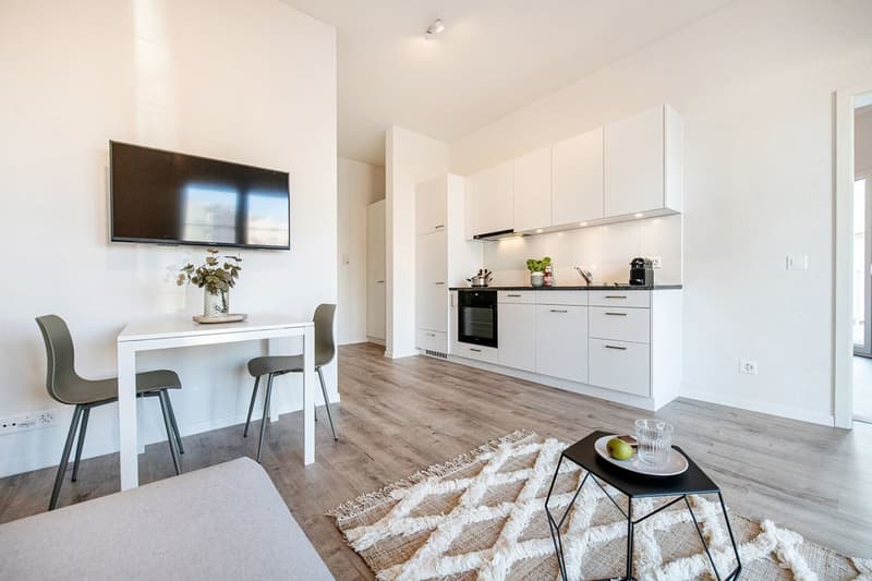 « HOTELSUITE im Zentrum Mutschellen » (5)