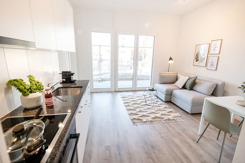 « HOTELSUITE im Zentrum Mutschellen » (10)