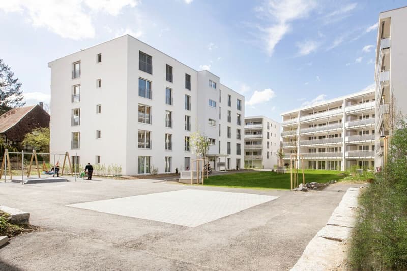 Neubau 4.5-Zimmer-Wohnung (1)