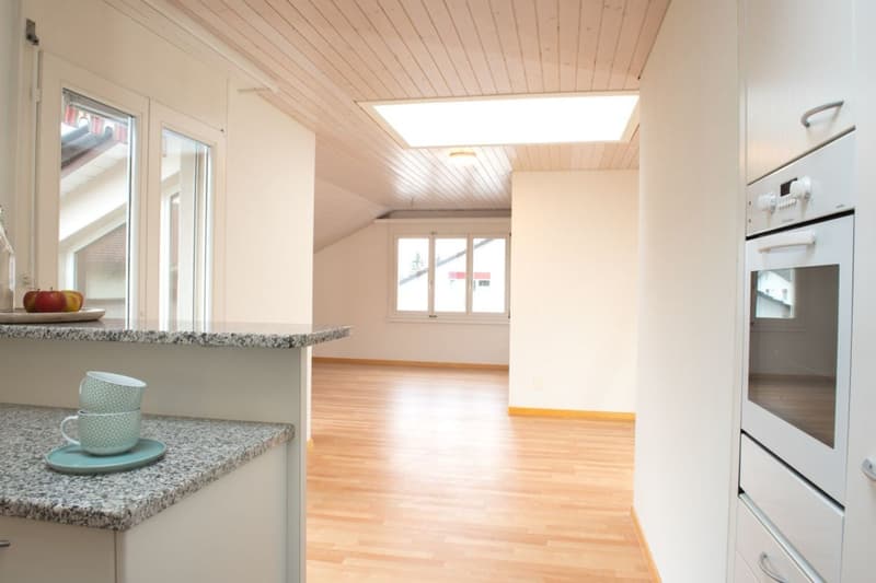 gemütliche Dachwohnung (5)