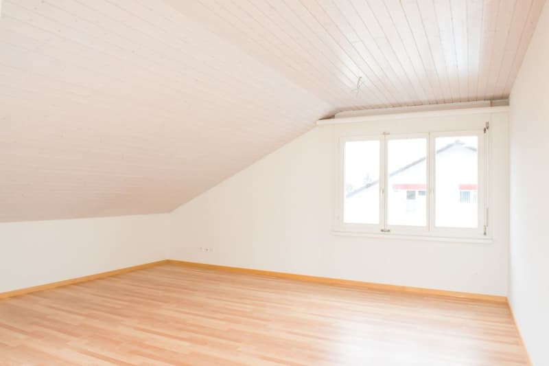 gemütliche Dachwohnung (6)