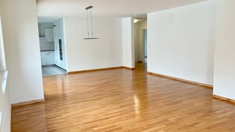 Wohnzimmer-Küche