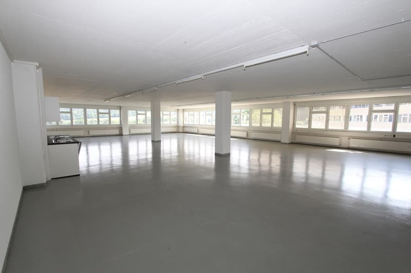 Attraktive Büro- / Gewerberäume (3)