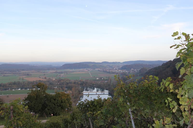 ruhig - naturnah - gemütlich (4)