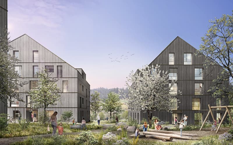 The image shows a residential complex with several multi-story wooden buildings surrounded by a lush, landscaped outdoor area. The buildings have balconies and large windows, and the outdoor space features trees, flowers, and a play area with logs and ben