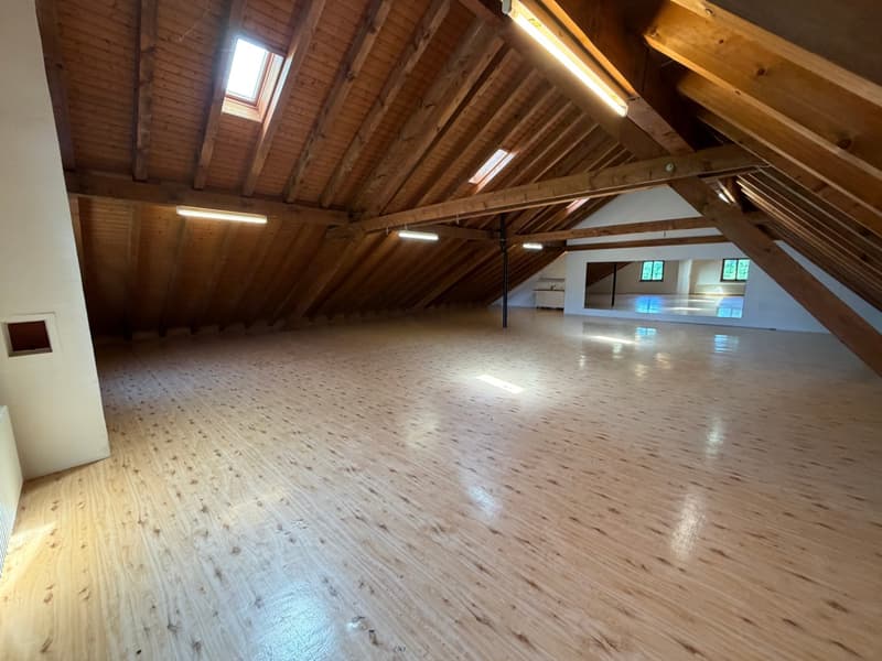 Grosszügiger Atelier- und Gewerberaum im Dachgeschoss (2)