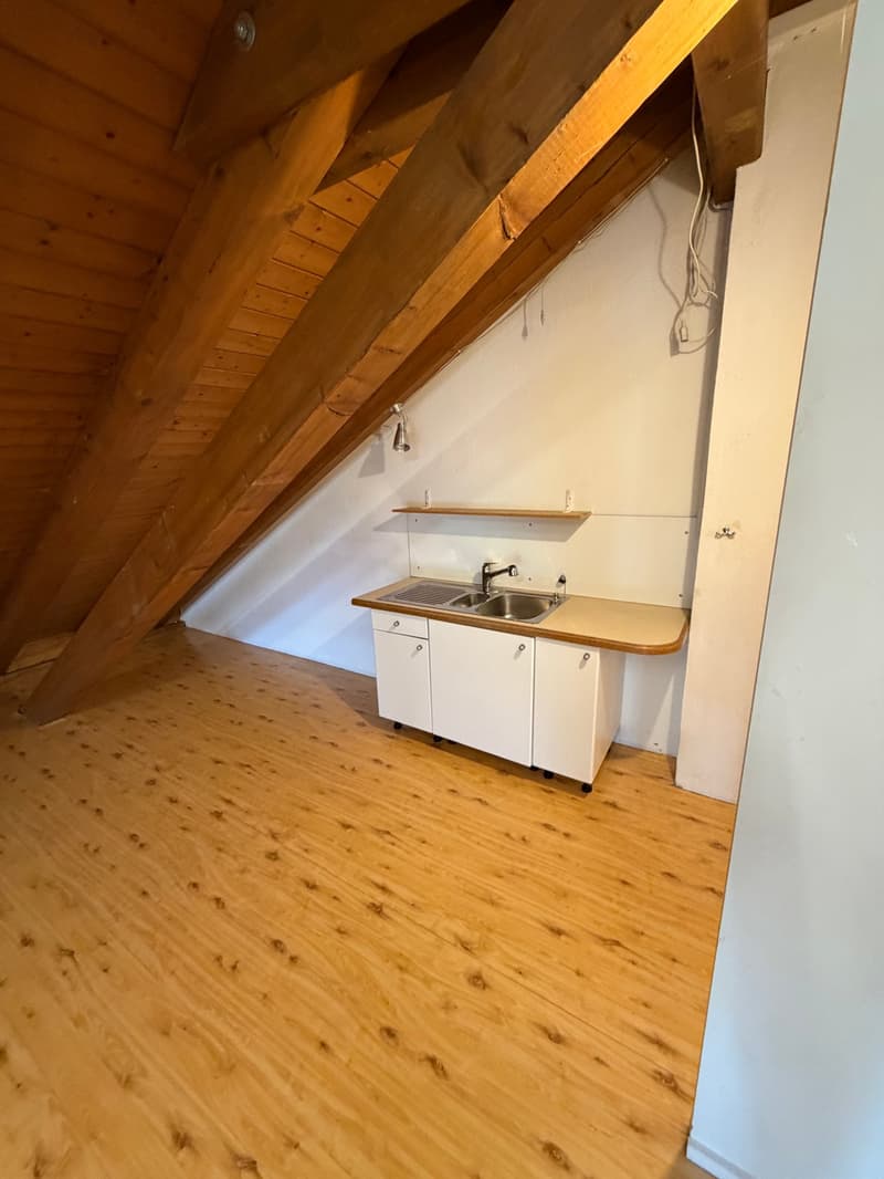 Grosszügiger Atelier- und Gewerberaum im Dachgeschoss (5)