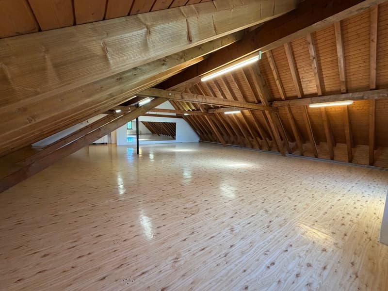 Grosszügiger Atelier- und Gewerberaum im Dachgeschoss (3)