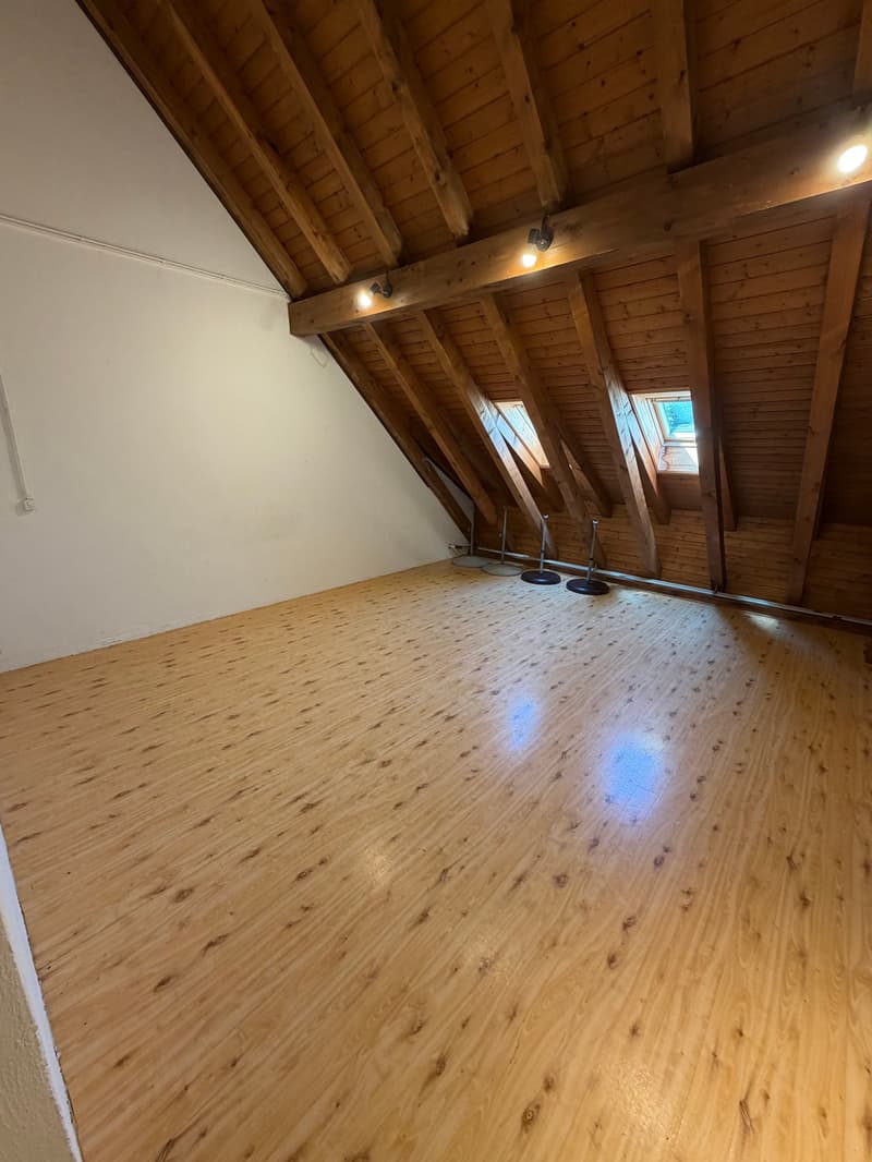 Grosszügiger Atelier- und Gewerberaum im Dachgeschoss (4)