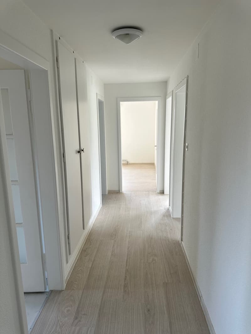 grosszügige 4-Zimmer-Wohnung mit Balkon an zentraler Lage (2025 renoviert) (8)