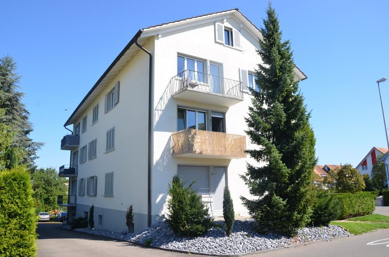 Aussenansicht Mehrfamilienhaus
