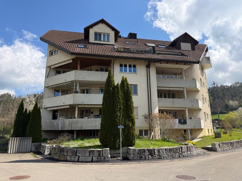 grosse 4.5-Zimmer-Dachwohnung mit eigenem Waschturm und Lift (1)