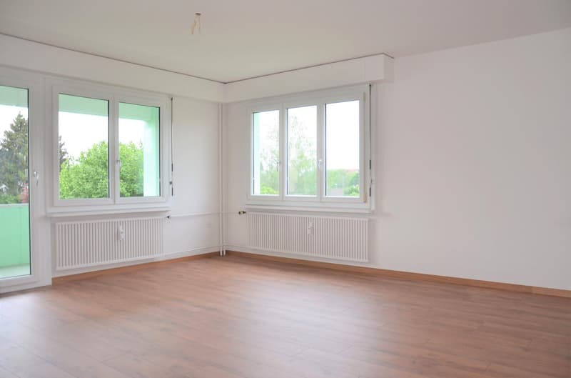 grosszügige moderne 3.5-Zimmer-Wohnung an ruhiger Lage (6)