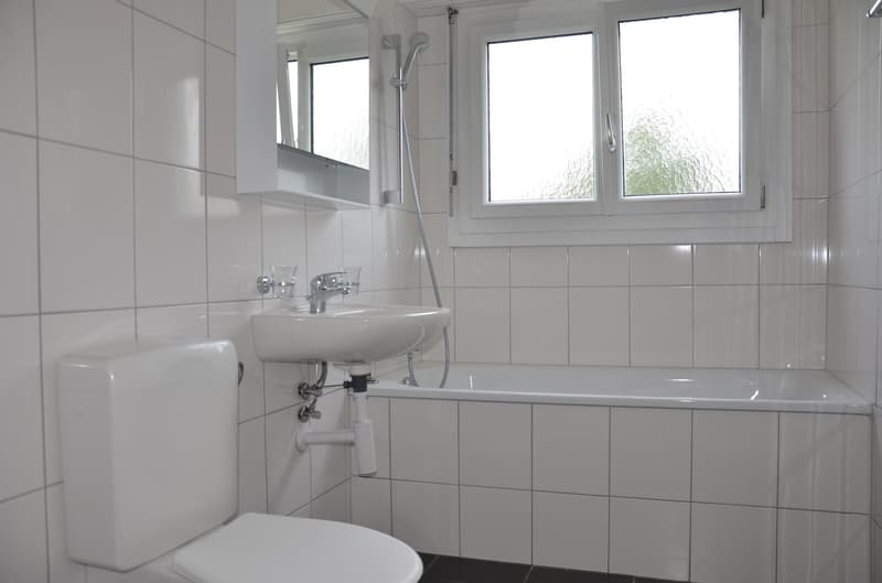 grosszügige moderne 3.5-Zimmer-Wohnung an ruhiger Lage (3)