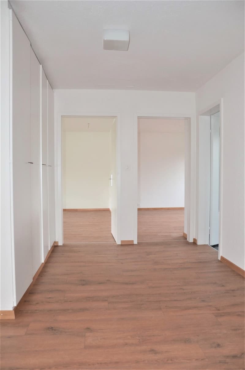 grosszügige moderne 3.5-Zimmer-Wohnung an ruhiger Lage (5)