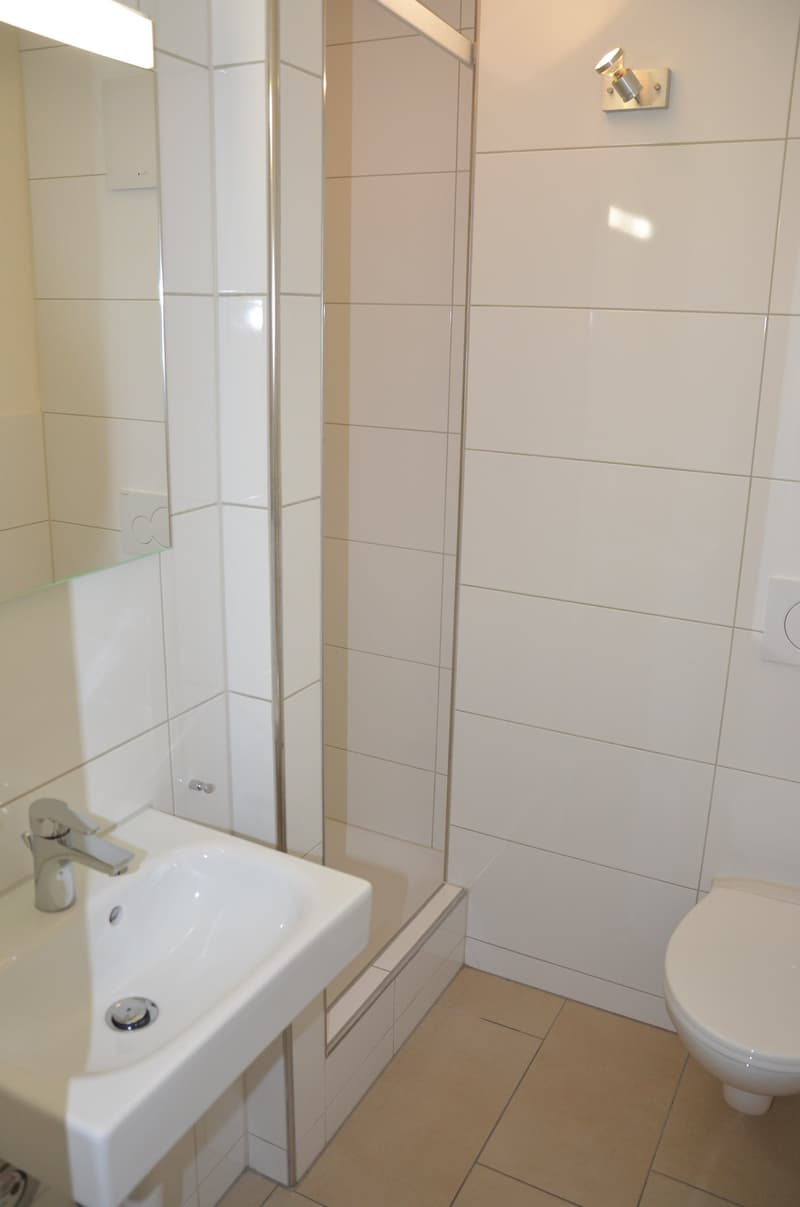 moderne 1.5-Zimmer-Wohnung mit Balkon und Lift im Haus an zentraler Lage (4)
