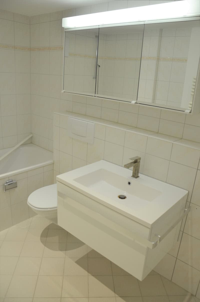 modernes Bad/WC mit grosszügigem Spiegelschrank (Musterbild)
