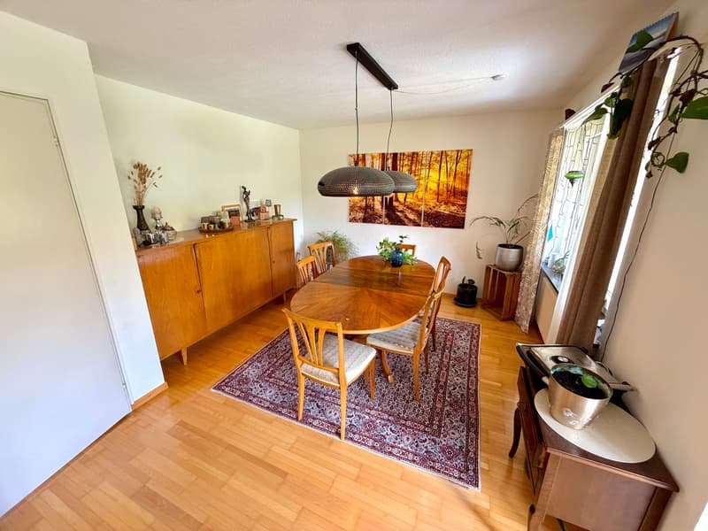 4.5 Zimmer-Eck-Einfamilienhaus an ruhiger Lage mit grossem Garten (6)