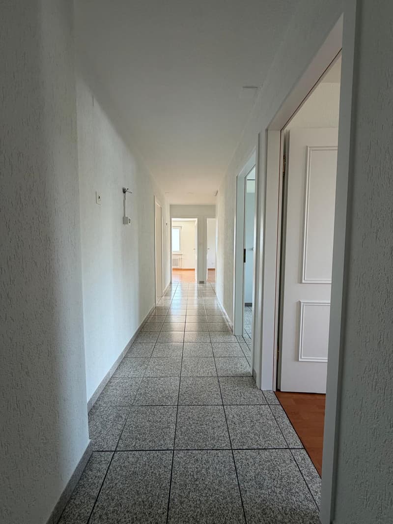 grosszügige 4.5-Zimmer-Wohnung in ruhigem Quartier (9)