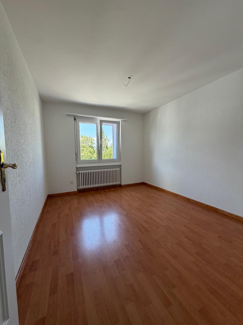 grosszügige 4.5-Zimmer-Wohnung in ruhigem Quartier (5)