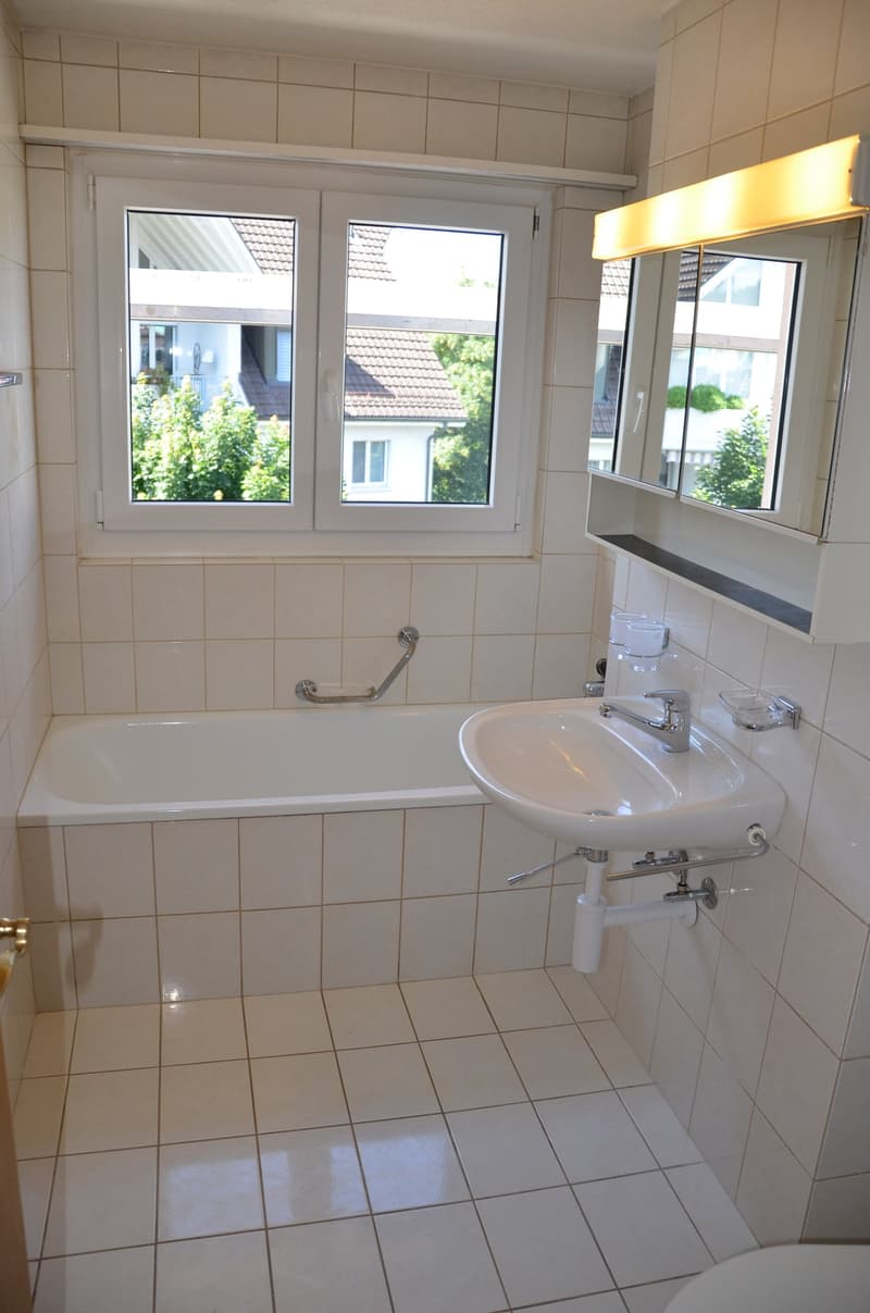 grosszügige 4.5-Zimmer-Wohnung in ruhigem Quartier (7)