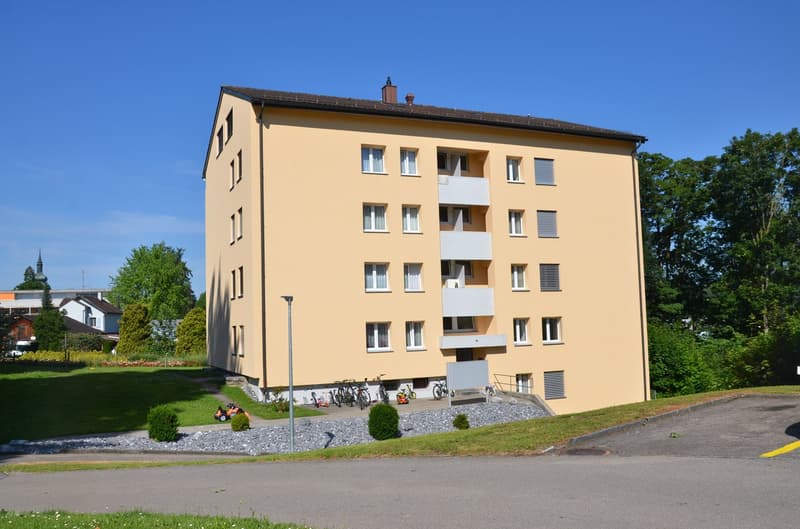 Aussenansicht Mehrfamilienhaus