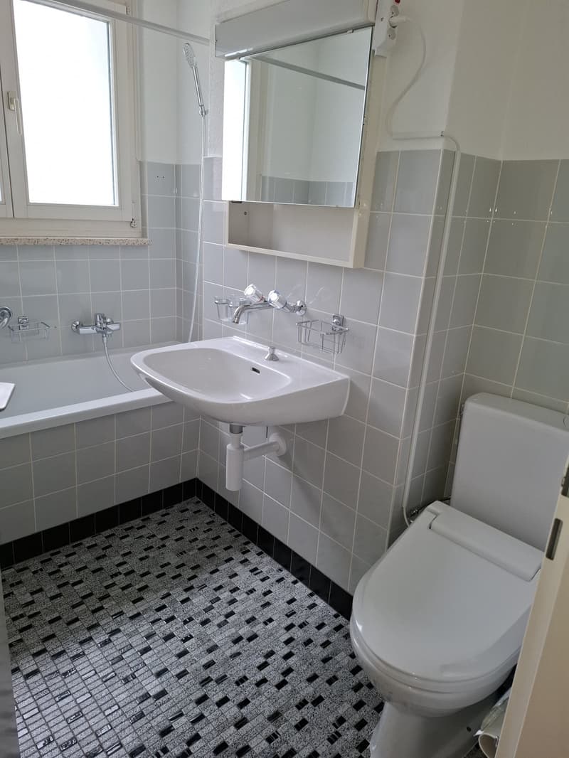 3.5 Zimmer-Wohnung mit schöner Aussicht (7)