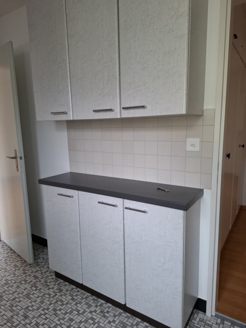 3.5 Zimmer-Wohnung mit schöner Aussicht (3)