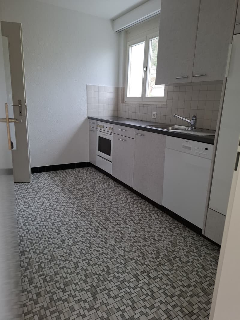 3.5 Zimmer-Wohnung mit schöner Aussicht (2)