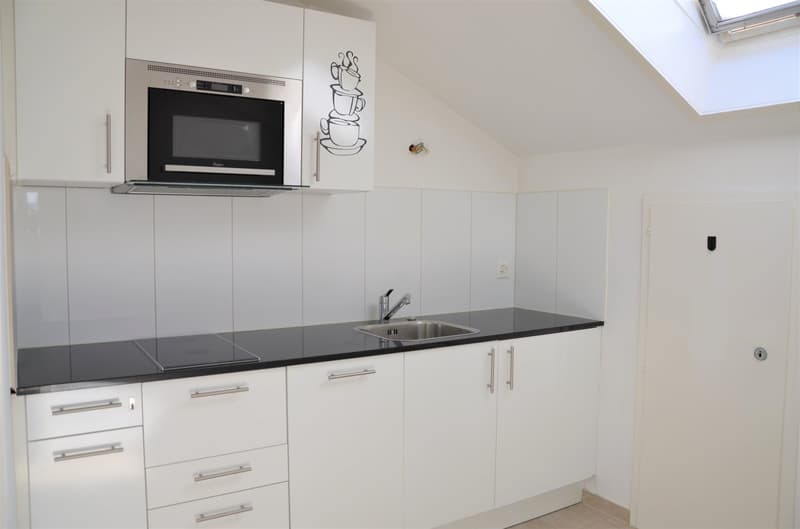 moderne Küche mit Glaskeramikherd, Backofen, Geschirrspüler etc.