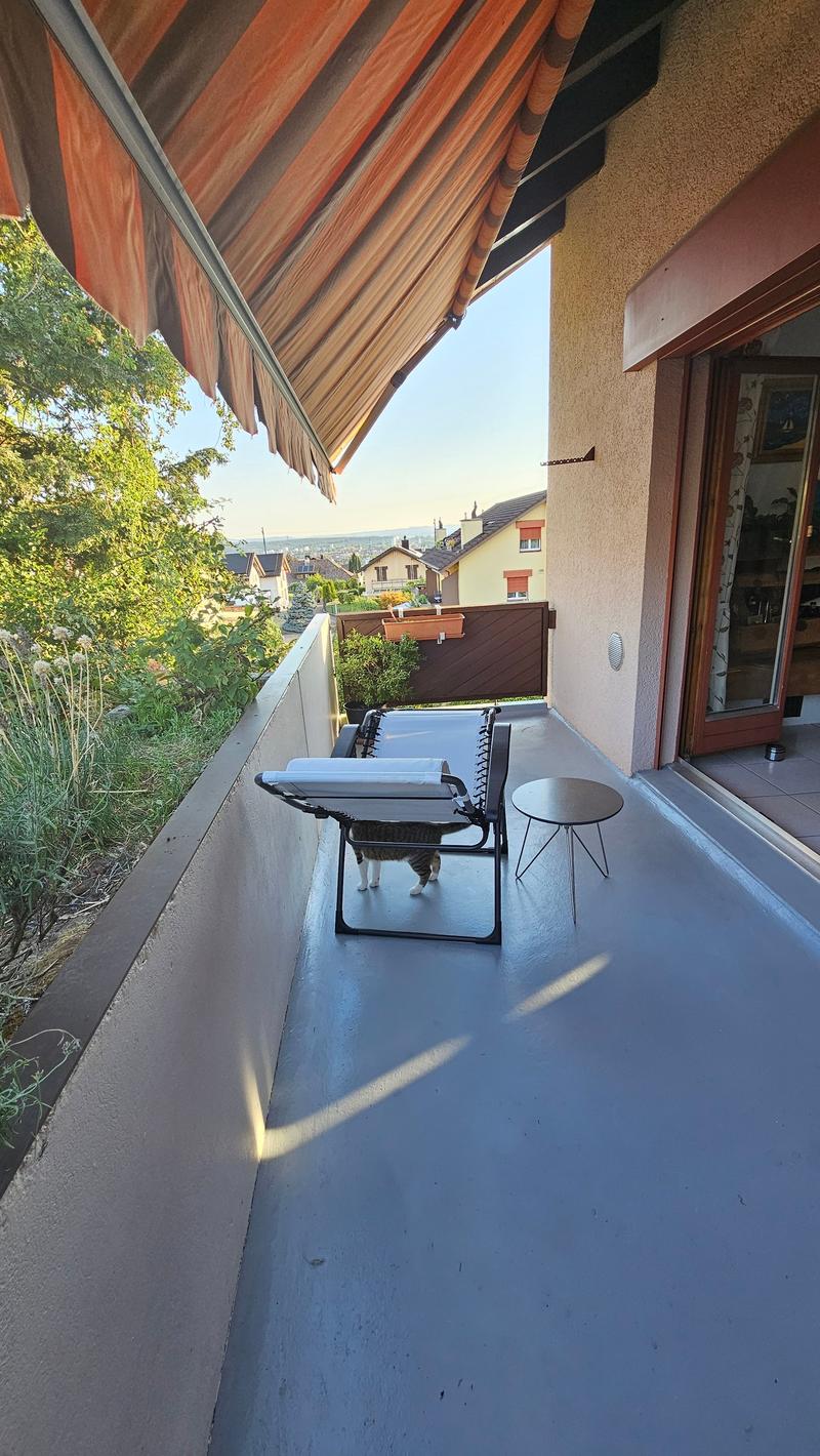 grosszügiger Balkon mit Abendsonne Zugang vom Wohnzimmer
