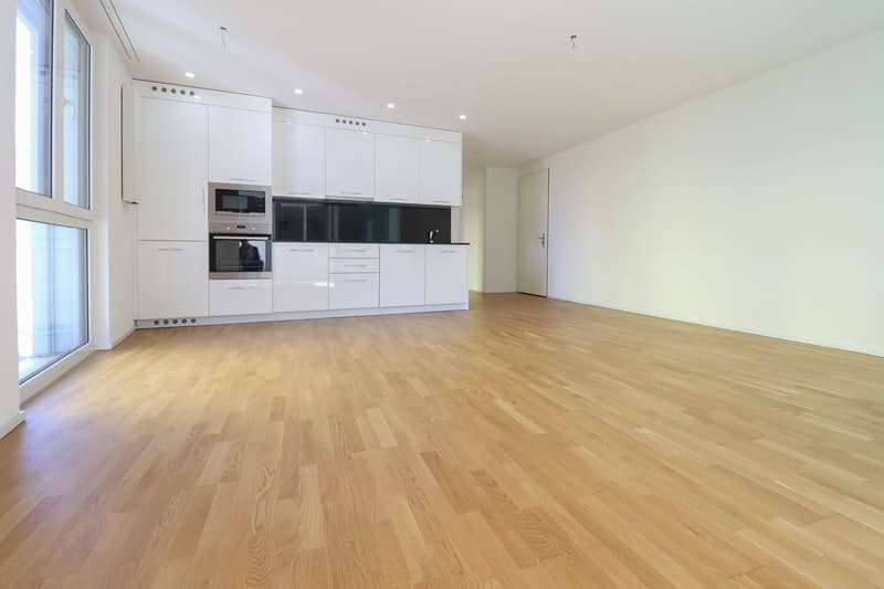 moderne Küche mit Geschirrspüler