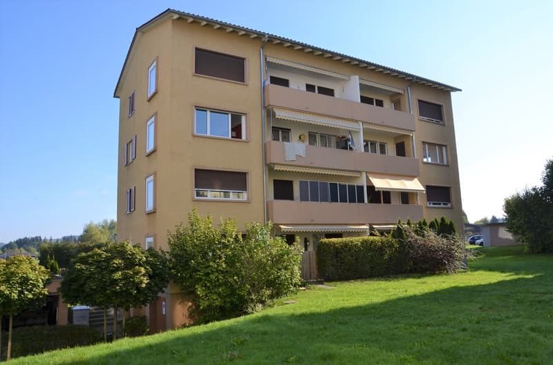Aussenansicht Mehrfamilienhaus