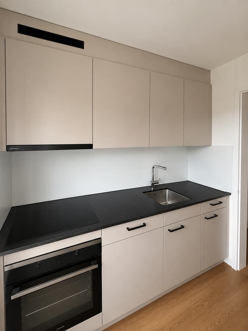 frisch renovierte 3.0-Zimmer-Wohnung mit sonnigem Balkon (2)