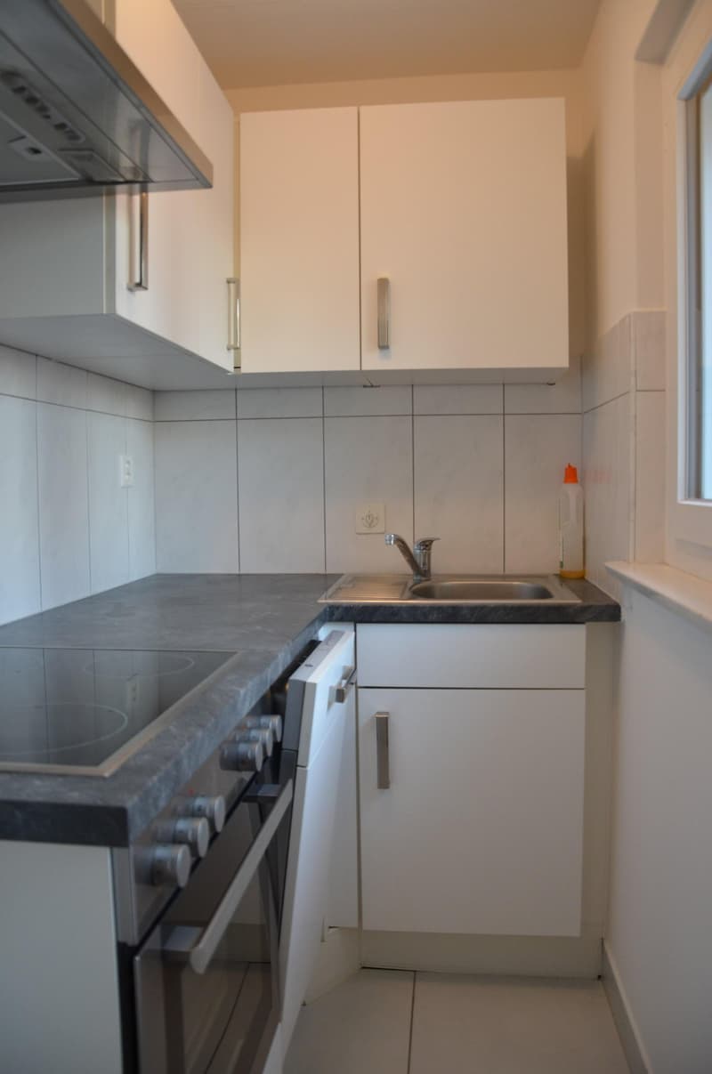 moderne Küche mit Geschirrspüler