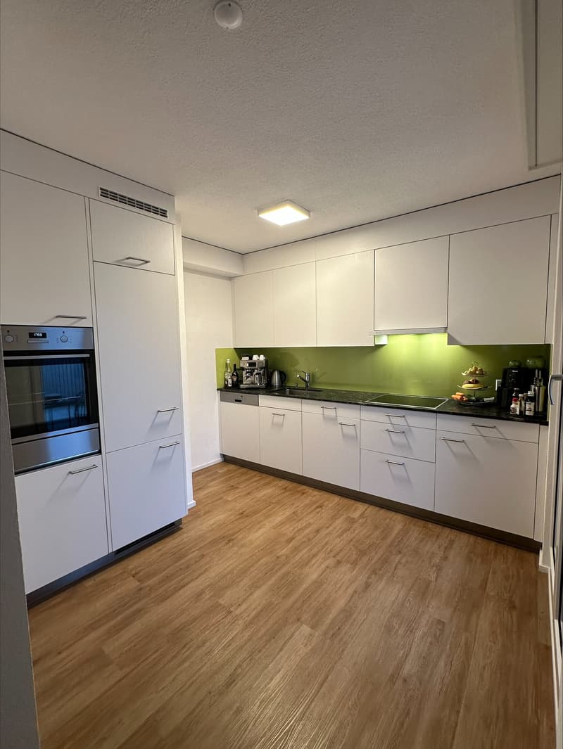 moderne Küche mit Geschirrspüler, Glaskeramik etc.