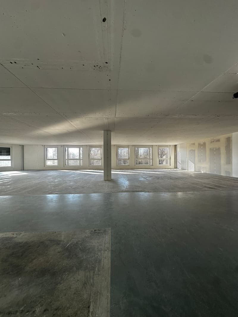 Flexible Gewerbefläche im Industriegebiet von Dietlikon (8)