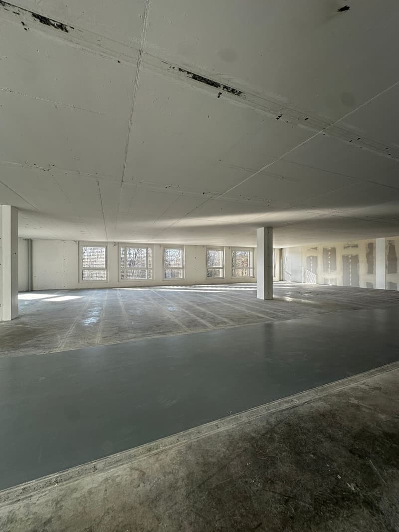 Flexible Gewerbefläche im Industriegebiet von Dietlikon (7)