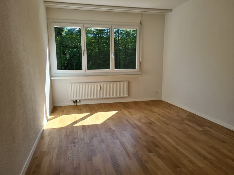3 ½ Zimmer-Wohnung, 8951 Fahrweid (4)