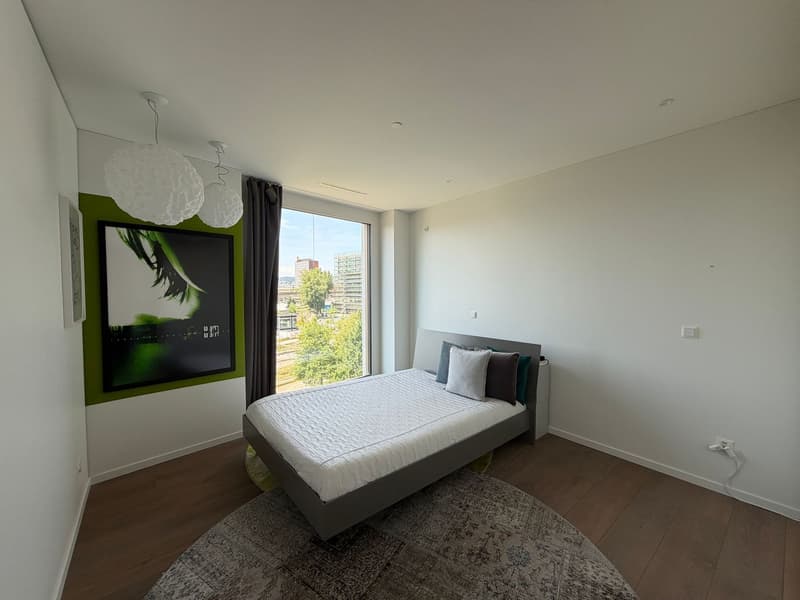 Moderne Wohnung direkt am Pfingstweidpark (6)