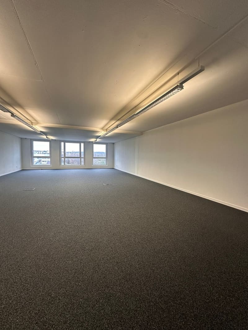 Bürofläche in Dietlikon zu vermieten (5)