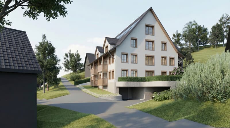 Neubauprojekt Hornstrasse, Illnau (1)