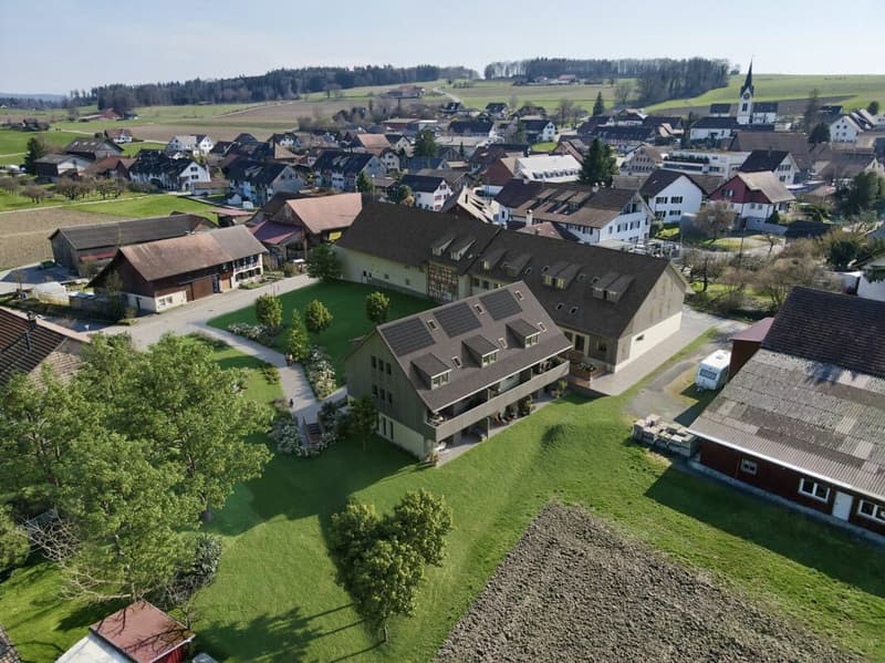 5 ½ bis 7 ½ Zi-Reihen-Einfamilienhäuser BÜELHÜSLI, Altikon ZH (2)