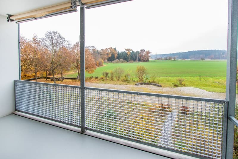 Aussicht 4.5 Zi Wohnung Seuzach